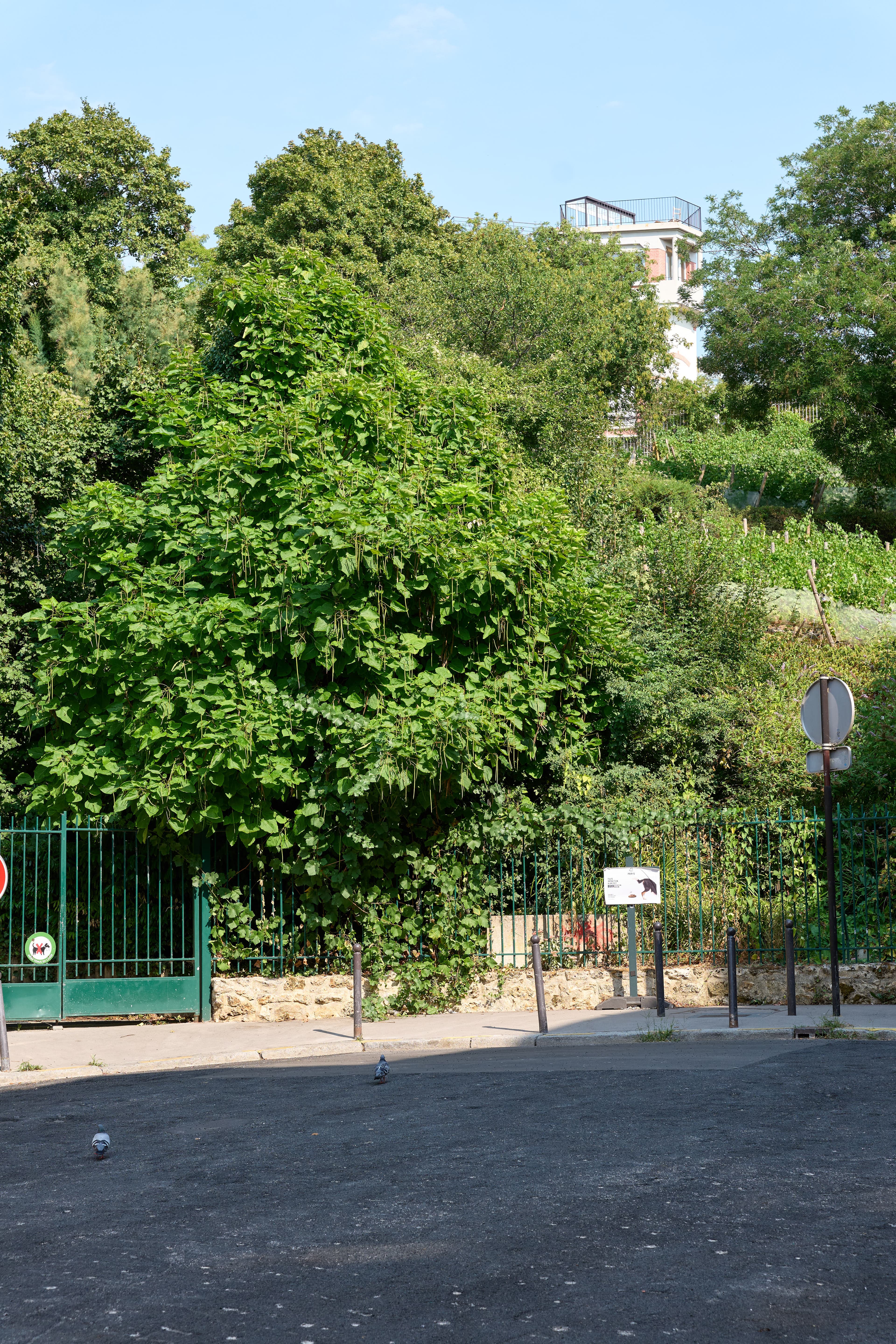 Photo récente : 19e arrondissement