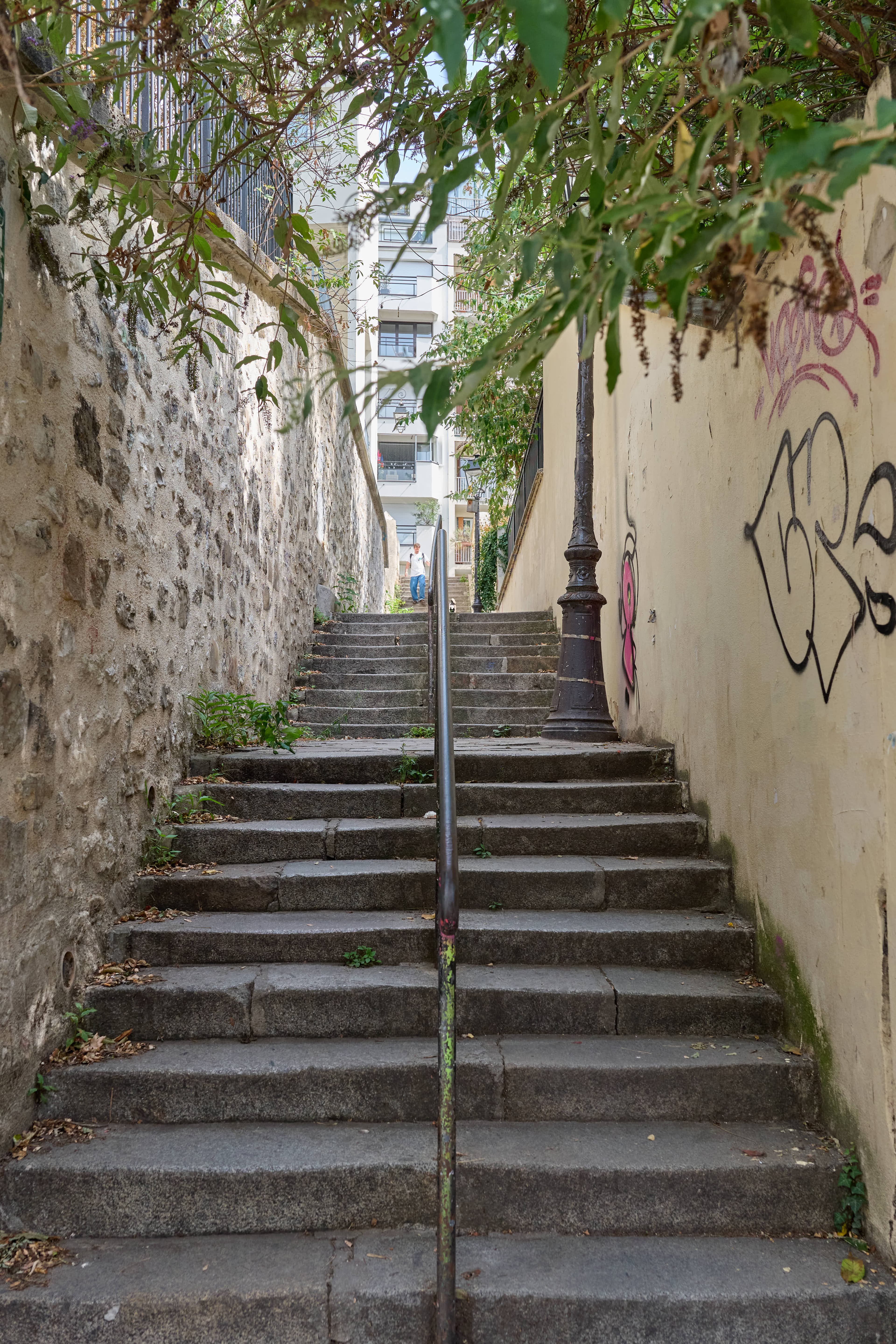 Reprise par Filip Forestier
