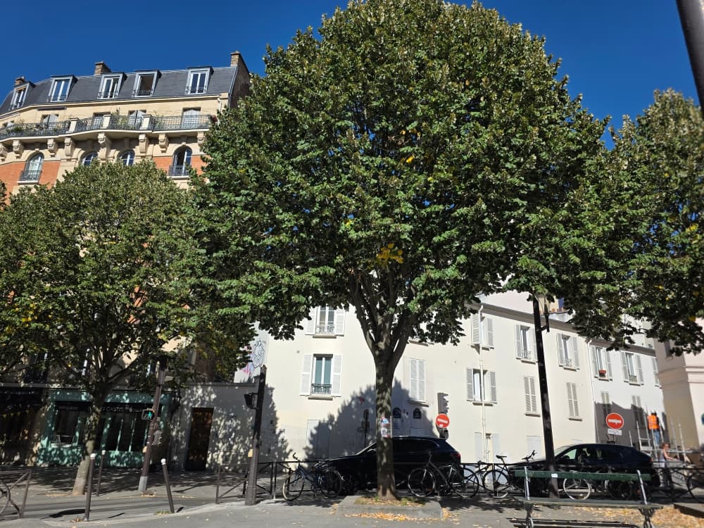 Reprise par Christine Warin